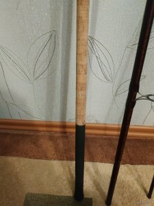 IMG_20200922_210230.jpg