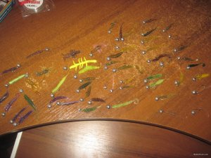 IMG_3563.JPG