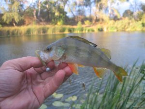 IMG_3564.JPG