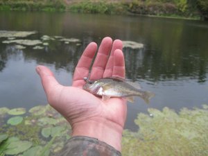 IMG_3568.JPG