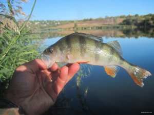 IMG_3577.JPG