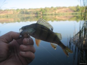 IMG_3590.JPG