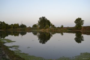 DSC_0119.jpg