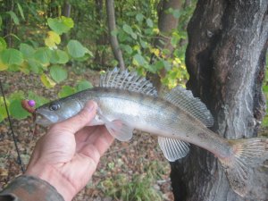 IMG_3605.JPG