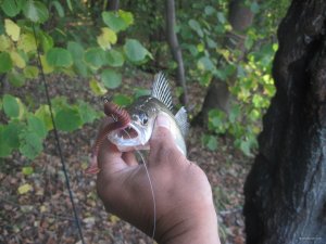 IMG_3606.JPG