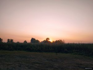 IMG_20200925_064935.jpg