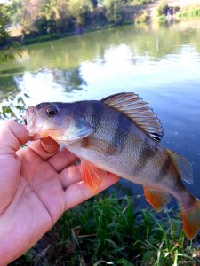 20200925_210417.jpg