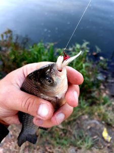 20200925_210312.jpg