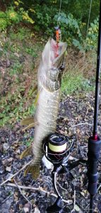IMG_20200926_091216.jpg
