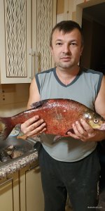IMG_20200927_020638.jpg