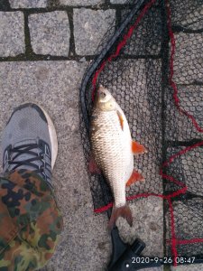 IMG_20200926_084734.jpg