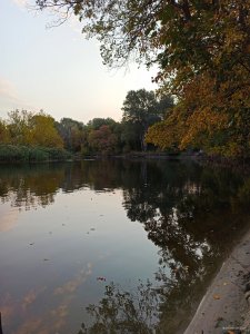 IMG_20200927_213053.jpg