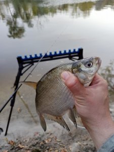 IMG_20200927_062806.jpg