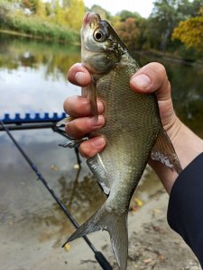 IMG_20200927_130905.jpg