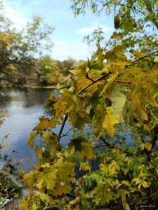 IMG_20200927_110627.jpg