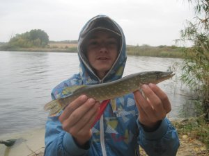 IMG_3622.JPG