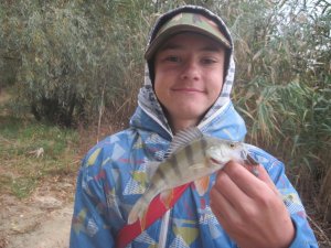 IMG_3624.JPG