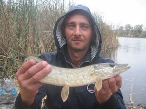IMG_3632.JPG