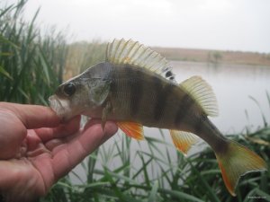 IMG_3634.JPG