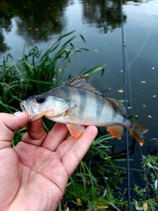 20200930_222456.jpg
