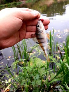 20200930_222353.jpg