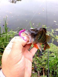 20200930_222337.jpg