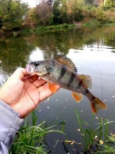 20200930_222316.jpg