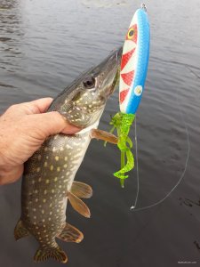 20201001_092830.jpg