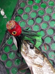 20201001_101326.jpg