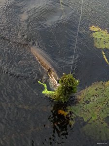 20201001_115402.jpg