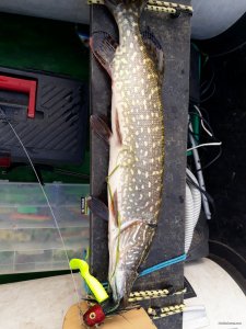 20201001_115908.jpg