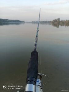 IMG_20201003_072010.jpg