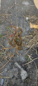 IMG_20201004_084554.jpg