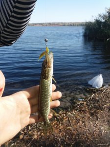 20201004_111935.jpg