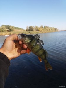 20201004_100433.jpg
