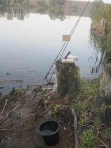 IMG_3642.JPG