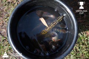 IMG_9575.jpg