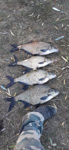20201005_134910.jpg