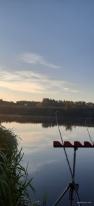 20201005_071432.jpg
