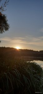 20201005_071425.jpg