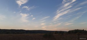 20201004_175020.jpg