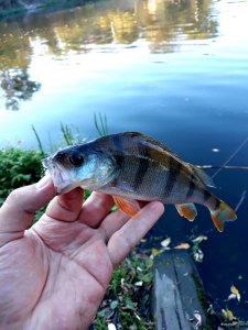 20201005_190214.jpg
