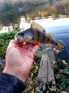 20201005_190113.jpg