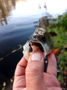 20201005_190031.jpg