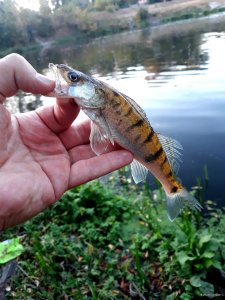 20201005_185950.jpg