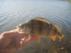 IMG_3657.JPG