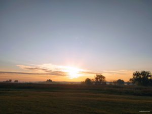 IMG_20201004_071202.jpg