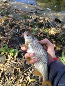 IMG_20201004_114423.jpg