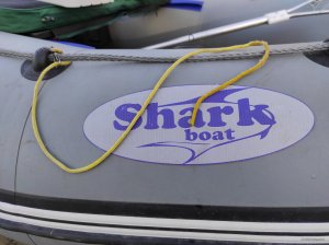 IMG_20201005_154834.jpg