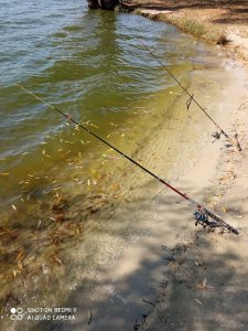 IMG_20201006_115946.jpg